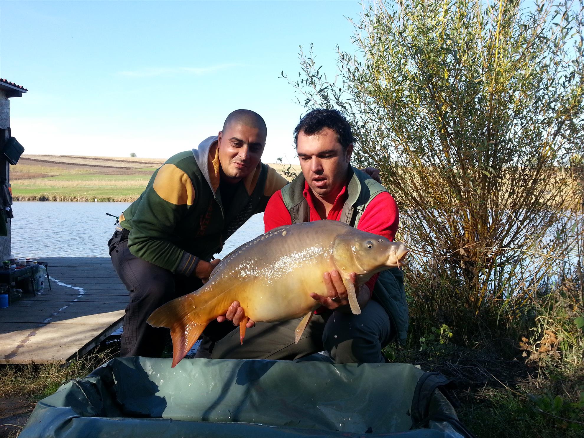 Concurs Magura 9 19 - 20 oct. - 20131020152941.jpg